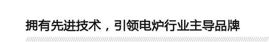 擁有先進(jìn)技術(shù)，引領(lǐng)電爐行業(yè)主導(dǎo)品牌